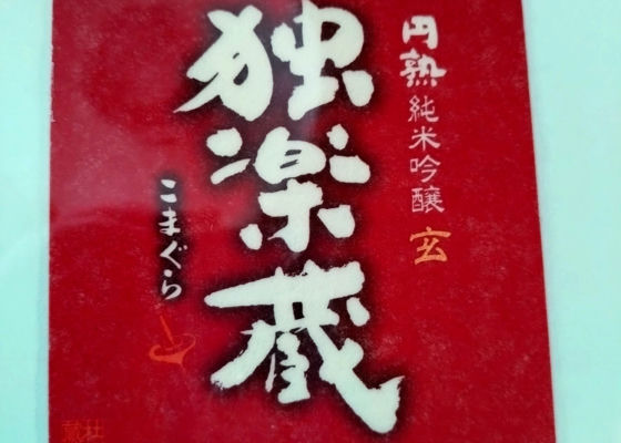 alt 1