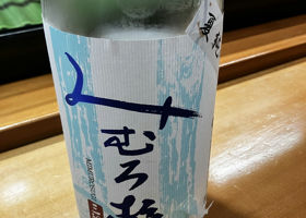 alt 1