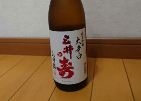 alt 2