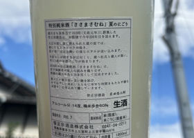 alt 2