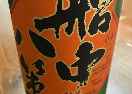 alt 1