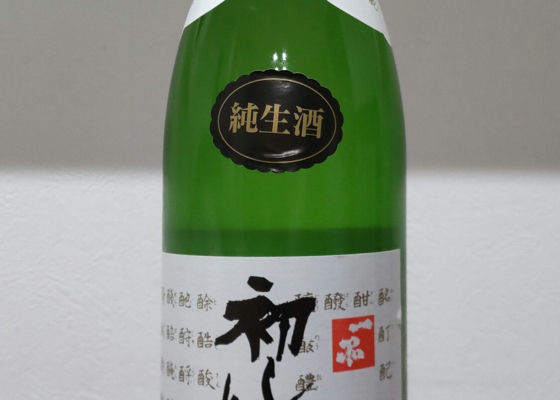 alt 1