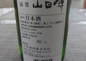alt 3