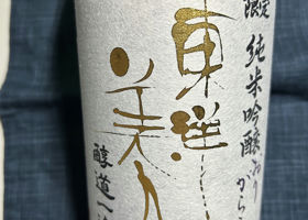 alt 1