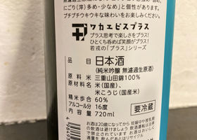 alt 3