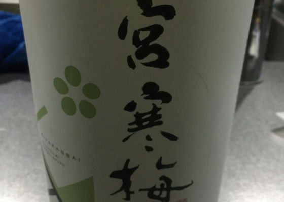 alt 1