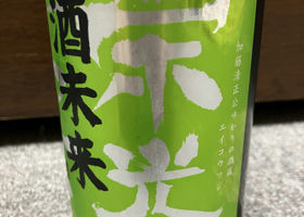 alt 1