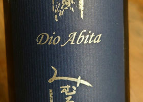 alt 1