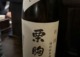 alt 1