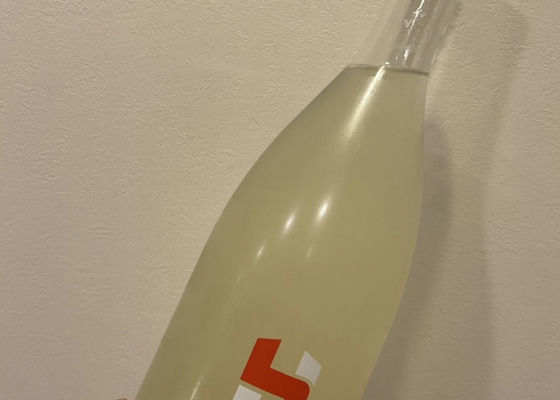 alt 1
