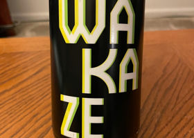 WAKAZE チェックイン 2