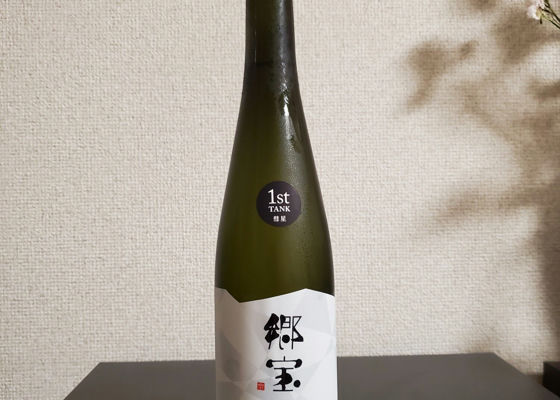 alt 1