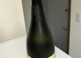 alt 1