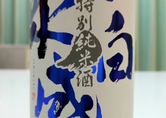 alt 1