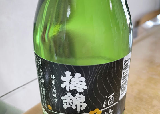 alt 1