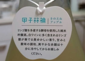 alt 3