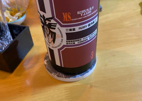 alt 1