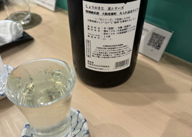 alt 3