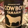COWBOY 2