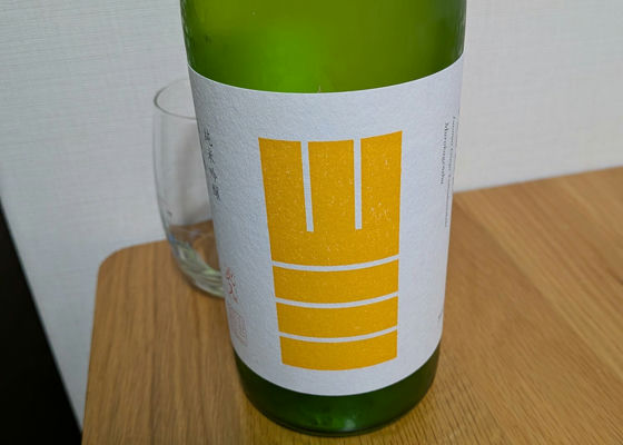 alt 1