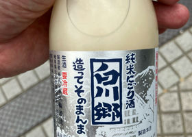 alt 1