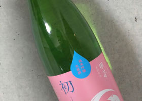 alt 3