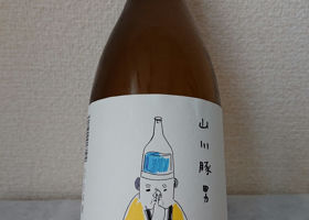 alt 1