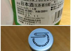 alt 3