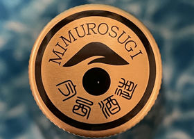 Mimurosugi Check-in 4
