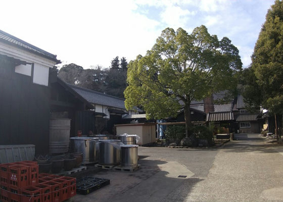 香取