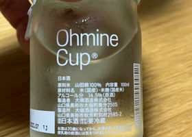 Ohmine Junmai チェックイン 2