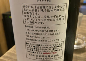 alt 2