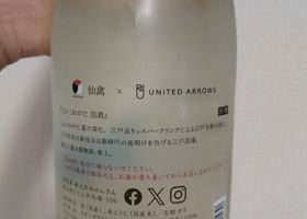 alt 1