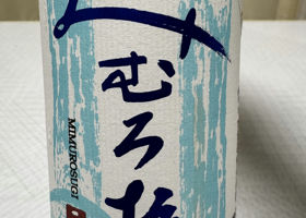 alt 1