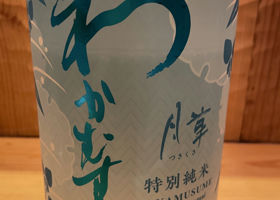 alt 1