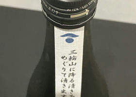 alt 4