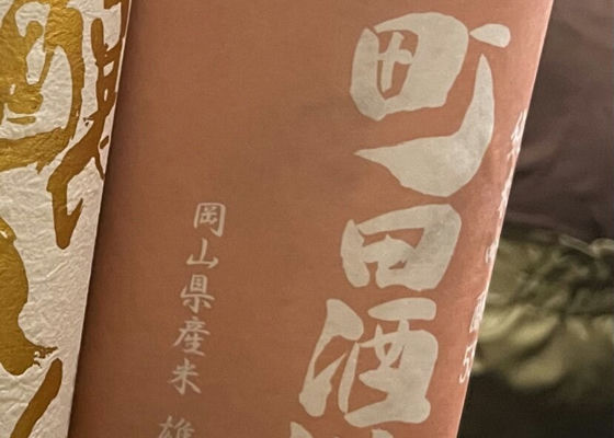 alt 1