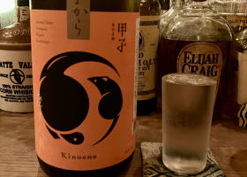 alt 1