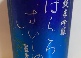 alt 1
