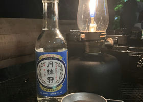 alt 3