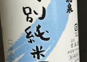 alt 1