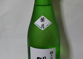 alt 3