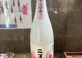 alt 1