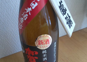 alt 1