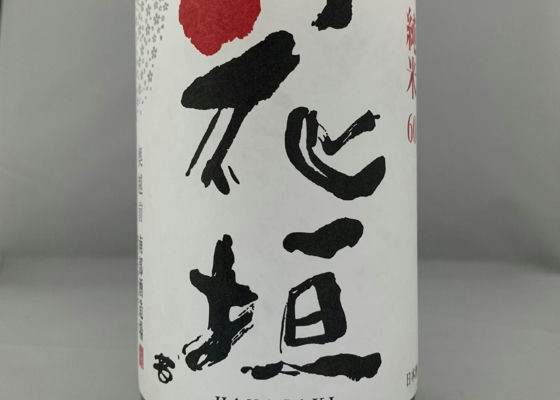 alt 1
