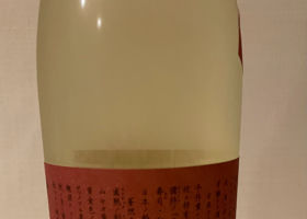 紗利 チェックイン 4