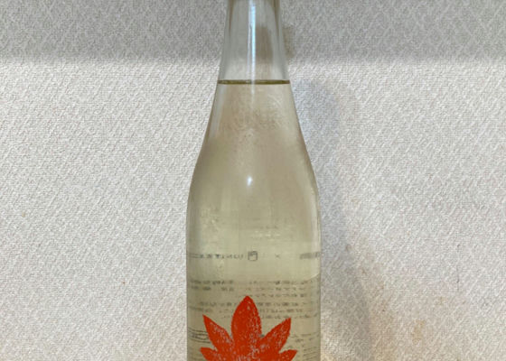 仙禽