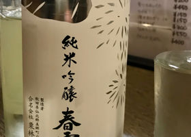 alt 4