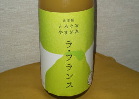 alt 1