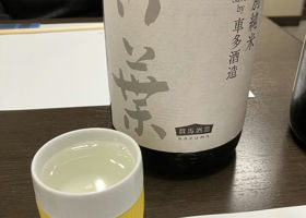 alt 1